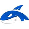 Team Orcas