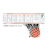 PinskStroy