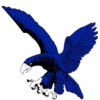 Ateneo Blue Eagles